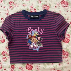 Cider Pink and Blue Striped Crop Top